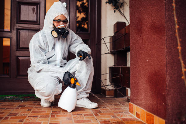 Reliable Wasp Removal contractor in Wewahitchka, FL by Show Me Pest Control